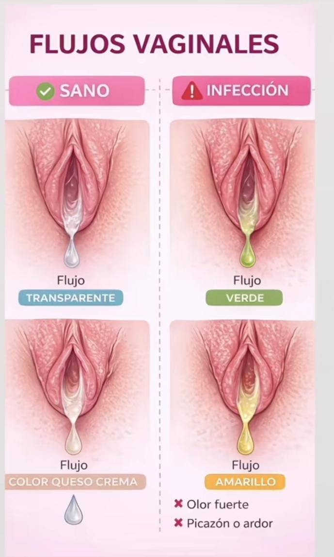 URO Probióticos- Tu zona íntima no es negociable🌸